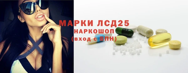 шишки Баксан