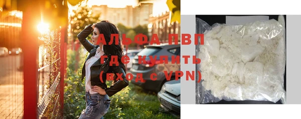 прущие грибы Россошь