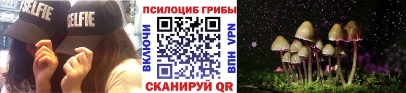 Галлюциногенные грибы Cubensis  Славянск-на-Кубани 